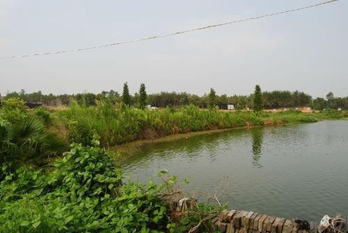 池塘的池怎么组词