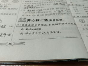 朋和鸟怎么组词 朋和鸟怎么组词