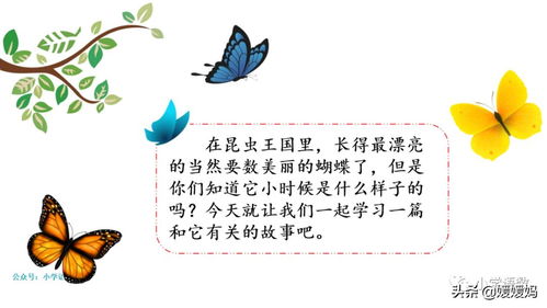 蝴蝶的虫怎么组词啊 蝴蝶的虫怎么组词啊