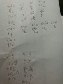 坠组词怎么读