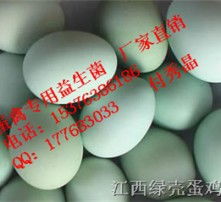 蛋壳的壳怎么组词