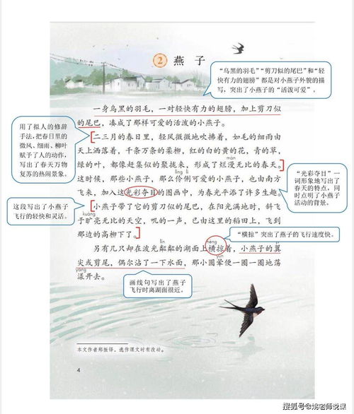 燕子的叶怎么组词