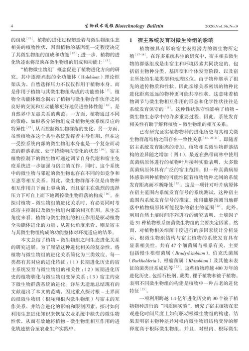 植物要怎么组词呢