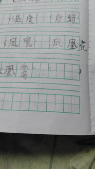 芦能怎么组词