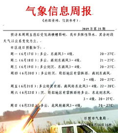 日照日照怎么组词