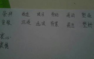 橡木怎么组词