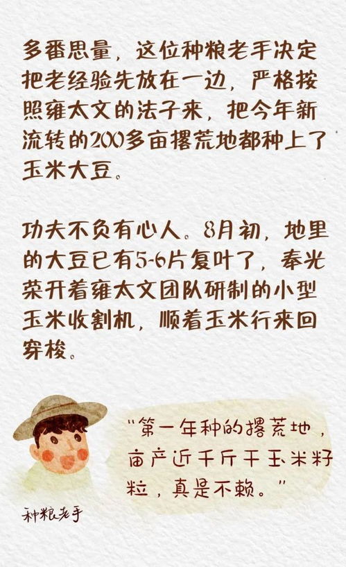 丰收的丰怎么组词呢