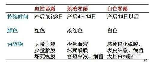 小肚腩的组词怎么写 小肚腩的组词怎么写