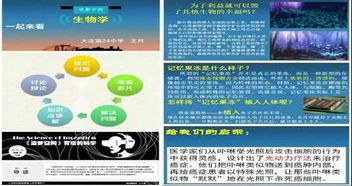 生命的秘密怎么组词