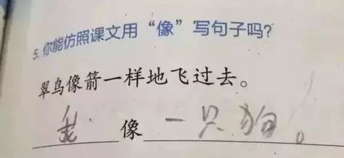 怎么组词万