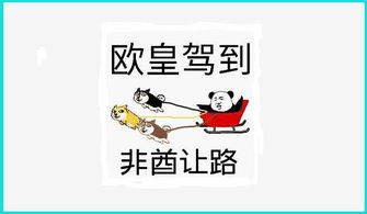 乱乱的怎么组词呀