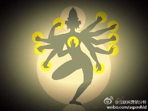 蛛字怎么组词呢