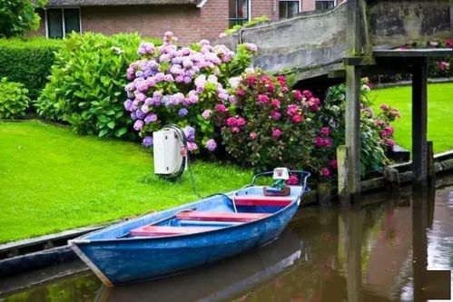 小镇镇怎么组词的