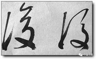 草的组词怎么写