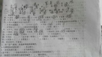 b的怎么组词