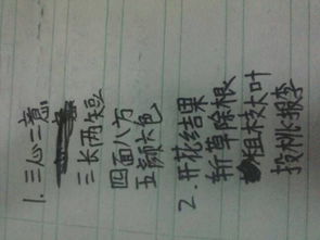 个子的组词怎么写呀