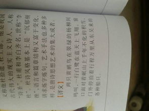 门泊的泊组词怎么组