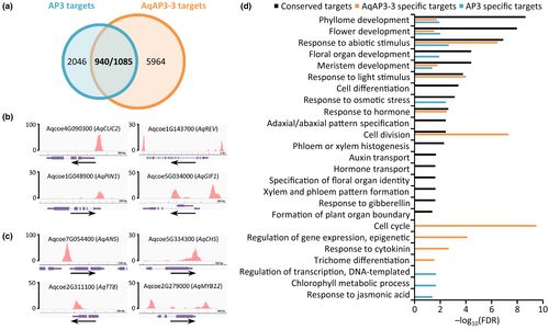 基因间怎么组词