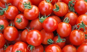 西红柿的组词怎么写 西红柿的组词怎么写