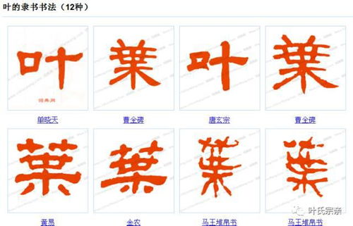 叶叶子的叶字怎么组词
