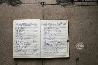 成功的宠物怎么组词