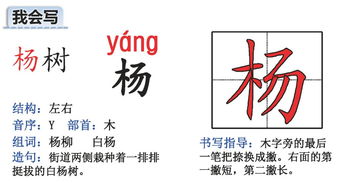 慧字偏旁结构组词怎么写 慧字偏旁结构组词怎么写