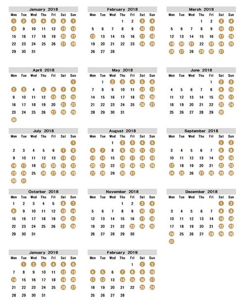 宫崎的崎怎么组词 宫崎的崎怎么组词