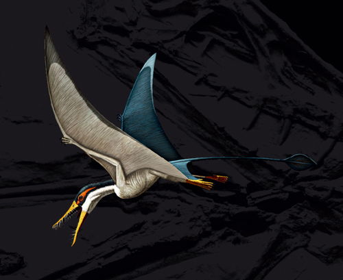 翼龙的翼还能怎么组词 翼龙的翼还能怎么组词