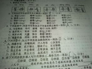 凑活着凑怎么组词