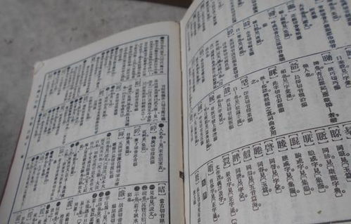 监狱的语怎么怎么组词