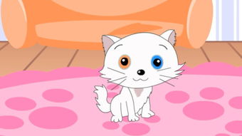 猫熬猫毛怎么组词