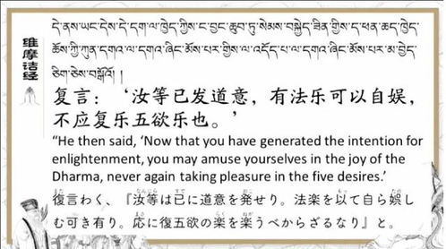 没经的经怎么组词