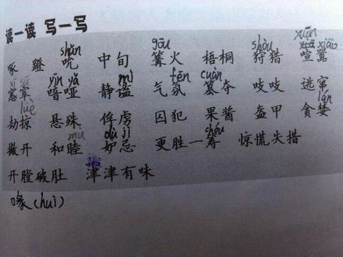 注释的拼音组词怎么写