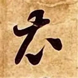 木字旁的感可以怎么组词