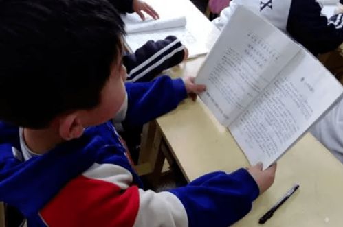 窝怎么读拼音和组词