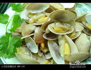 关于花蛤怎么组词的信息