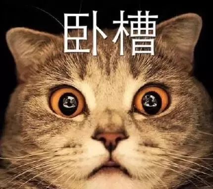 猫怎么吗怎么组词