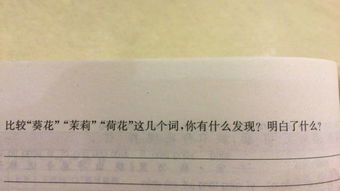 特阿卡怎么组词