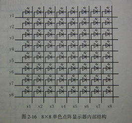 阳的阴怎么组词 阳的阴怎么组词