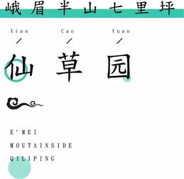 小度奇迹怎么组词的