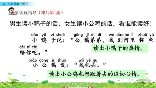 鸡的怎么组词