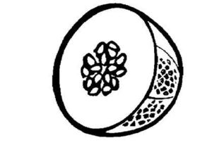 足球的图片组词怎么画