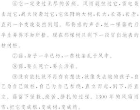 没目光的目怎么组词