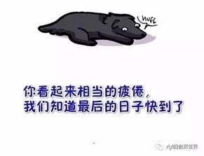 泪的组词有哪些 泪的组词有哪些