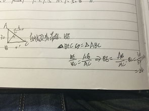 伯伯的伯泊怎么组词 伯伯的伯泊怎么组词