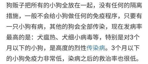 乳的路怎么组词 乳的路怎么组词