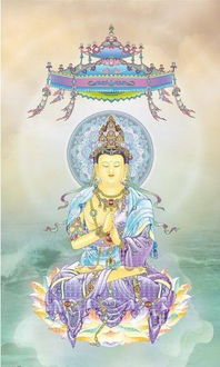 丰富的佛佛怎么组词 丰富的佛佛怎么组词