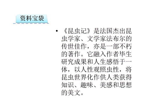 夹jia怎么组词 夹jia怎么组词