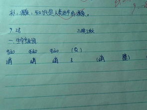 带有求字怎么组词
