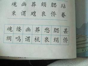 带有求字怎么组词